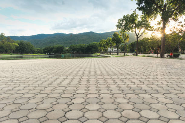 Best Local Driveway Pavers  in Plainview, TX